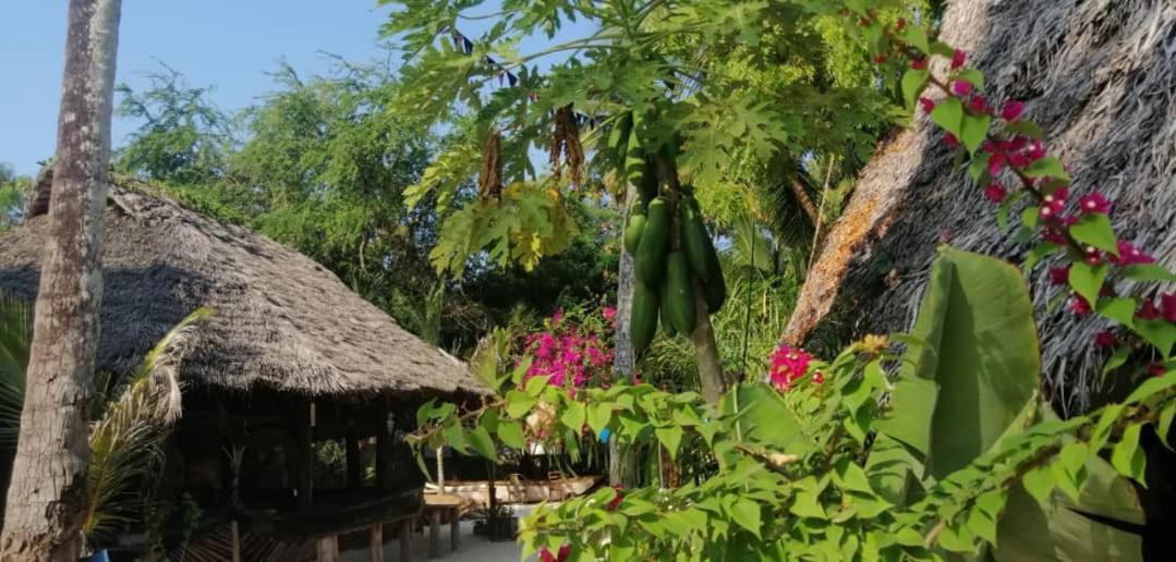 Furaha Bed and breakfast Jambiani (Zanzibar)